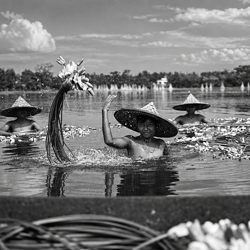 Photo #14109782