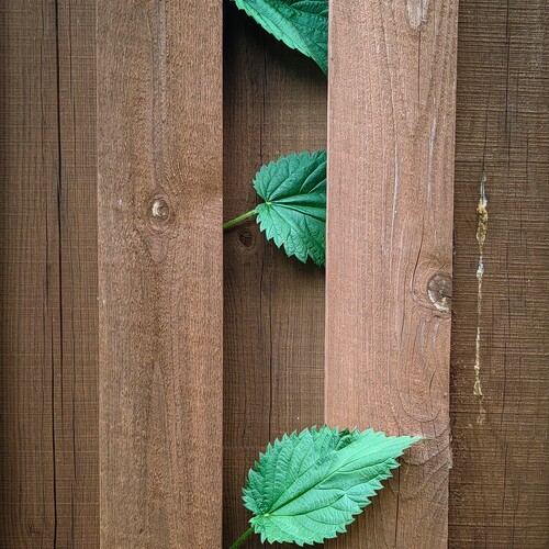 Photo #14110030