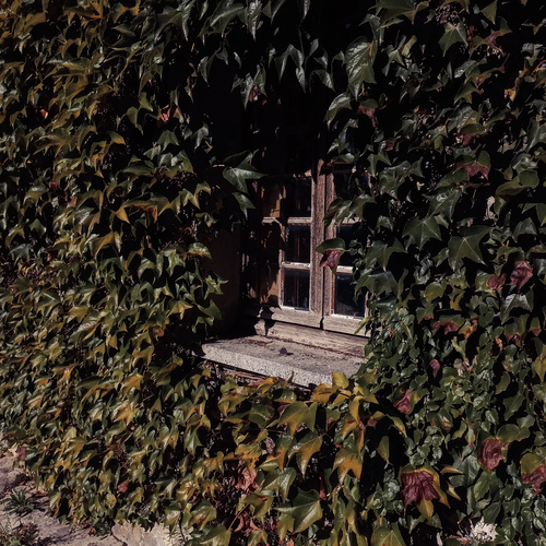 Photo #14110031