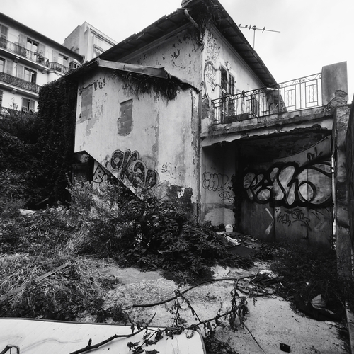 Photo #14110050