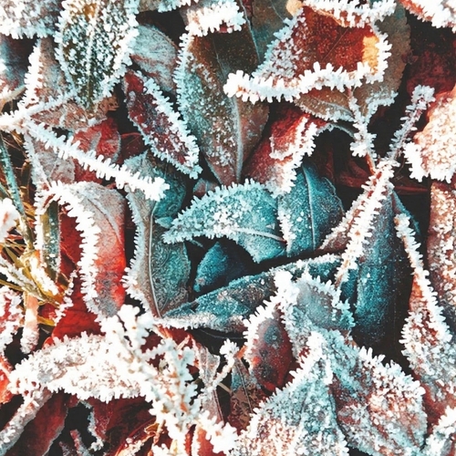 Photo #14110061