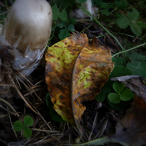Photo #14110104