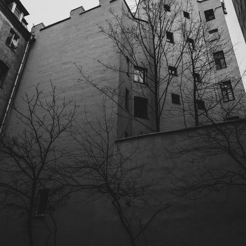 Фотография #14110165