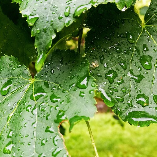 Photo #14110212