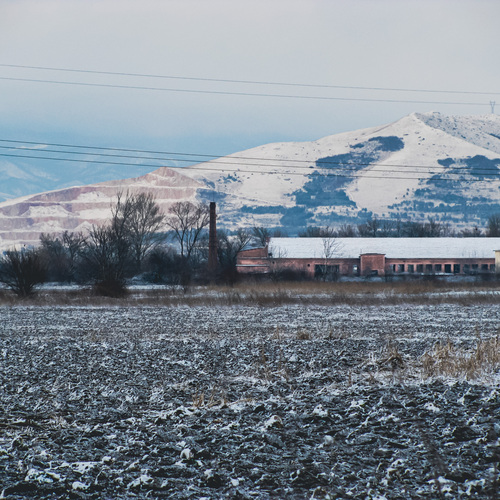 Photo #14110248