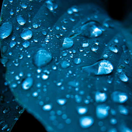 Photo #14110328