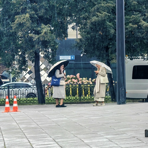 Photo #14110344