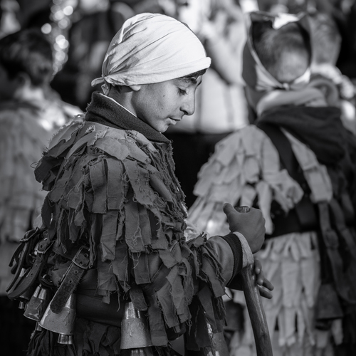 Photo #14110347