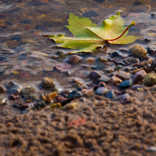 Photo #14110359
