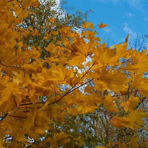 Photo #14110364