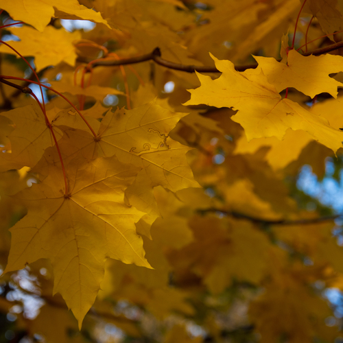Photo #14110365