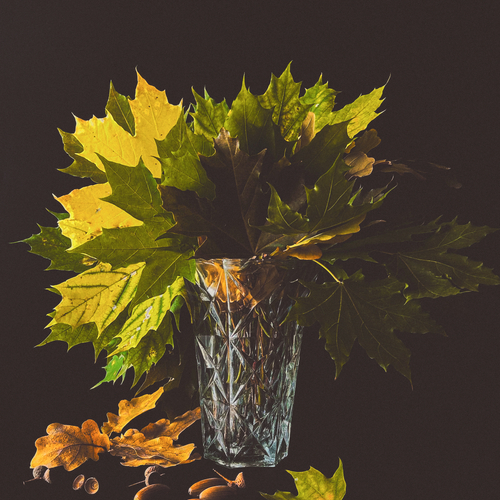 Photo #14110373