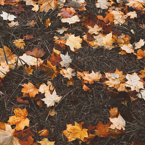 Photo #14110374