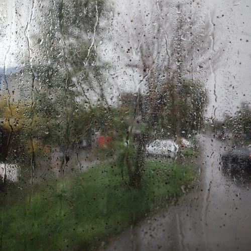 Photo #14110396