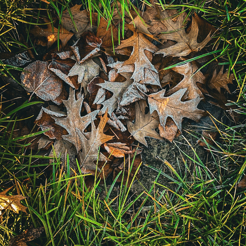 Photo #14110401