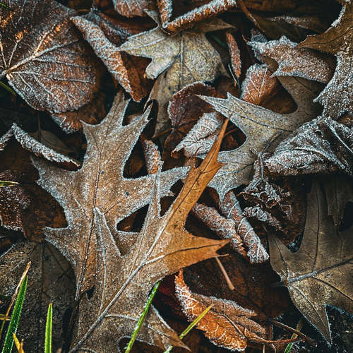 Photo #14110406
