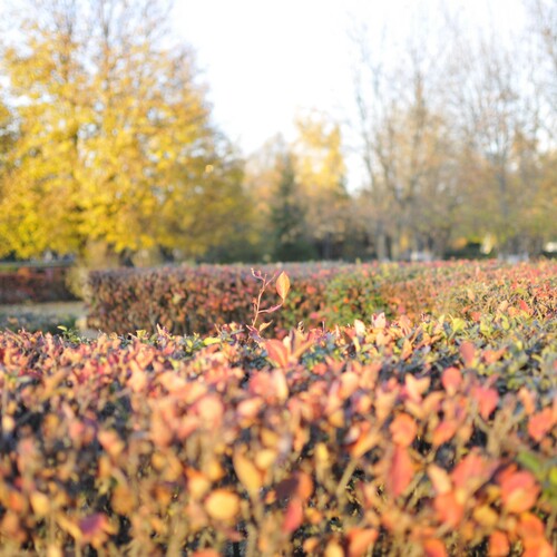 Photo #14110437