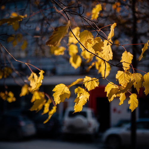 Photo #14110486