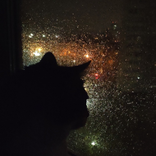 Photo #14110544