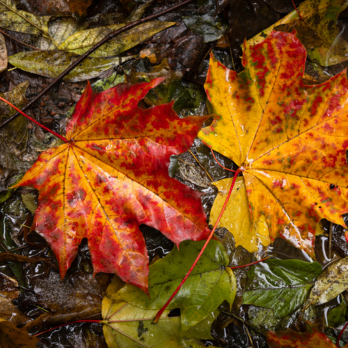 Photo #14110572