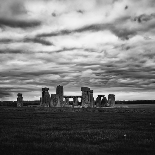 Photo #14110610
