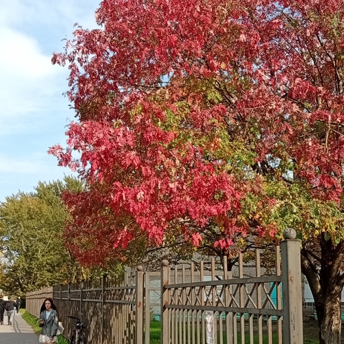Photo #14110644