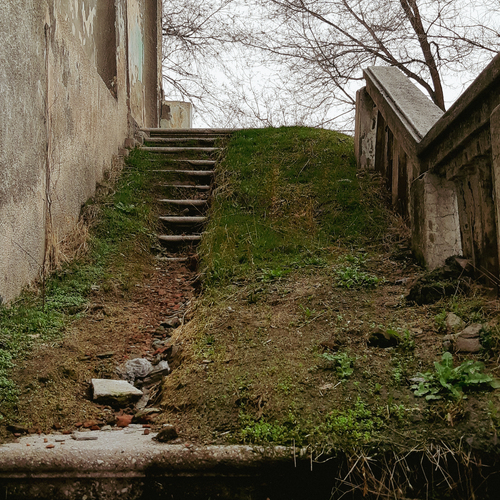 Photo #14110723