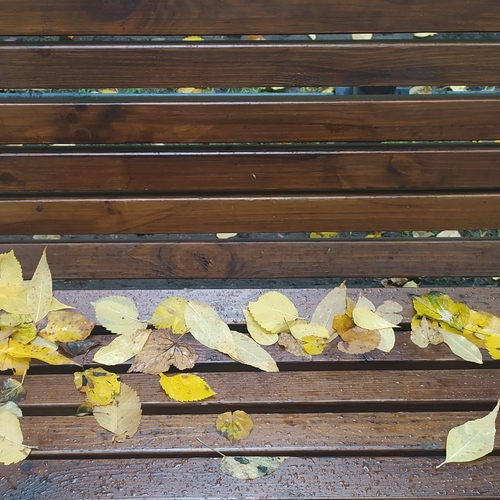 Photo #14110728