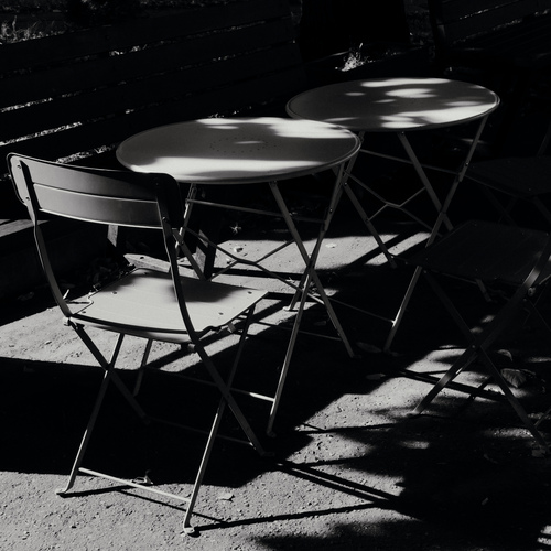 Photo #14110792