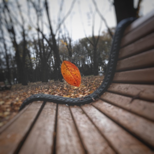 Photo #14110880