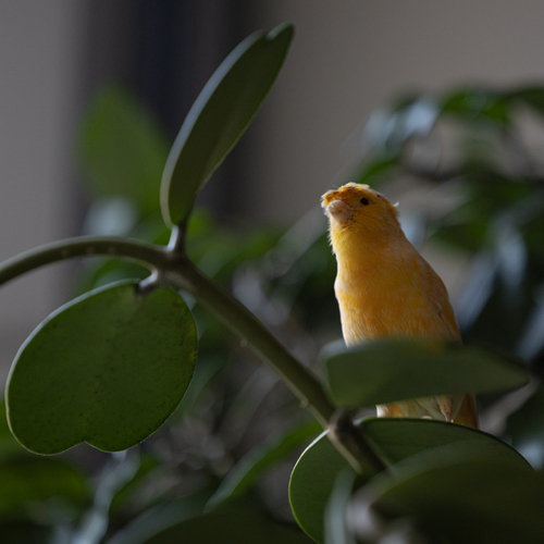 Photo #14110883