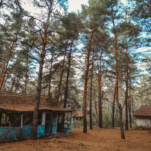 Photo #14110886