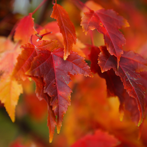 Photo #14110890