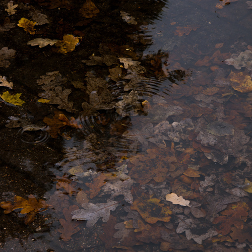 Photo #14110910