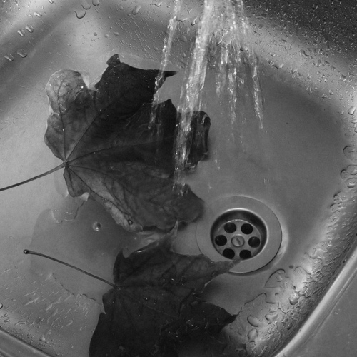 Photo #14110911