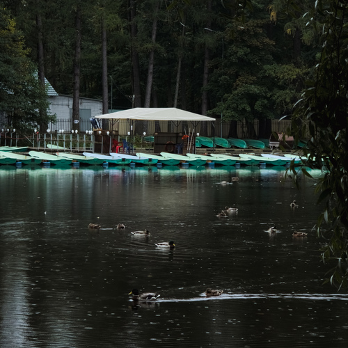 Photo #14110934