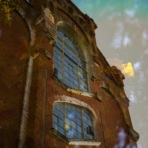 Photo #14110947