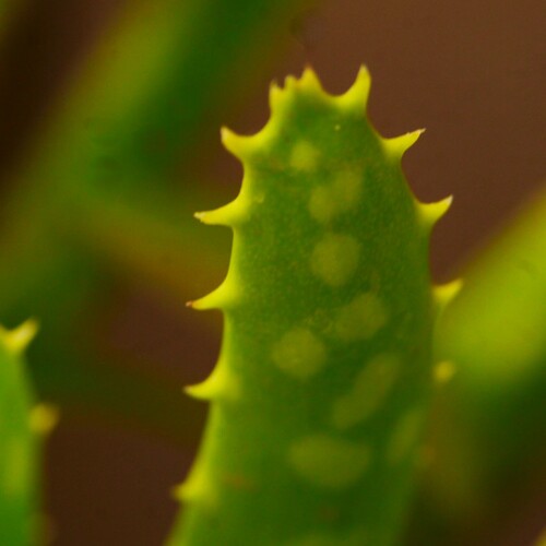 Photo #14110952