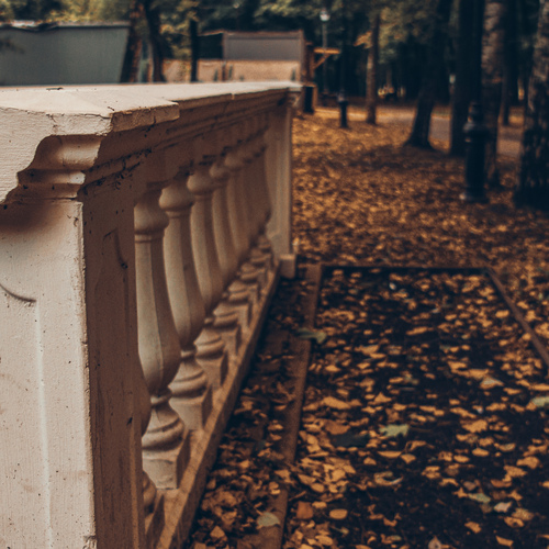 Photo #14110957