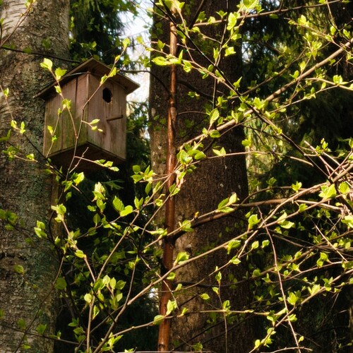 Photo #14110978