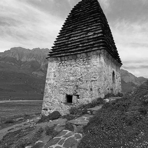 Photo #14111056