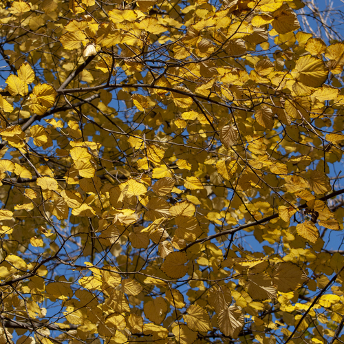Photo #14111126