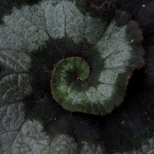 Photo #14111137