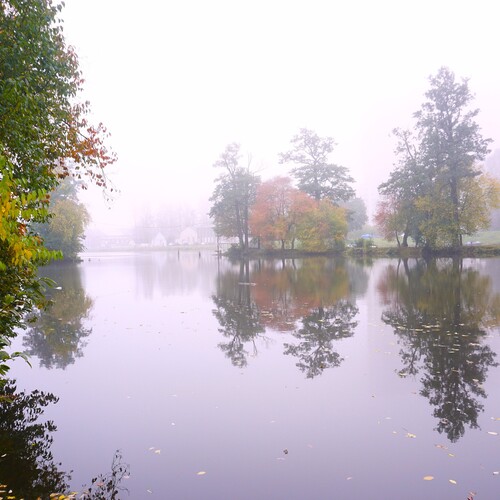 Photo #14111178