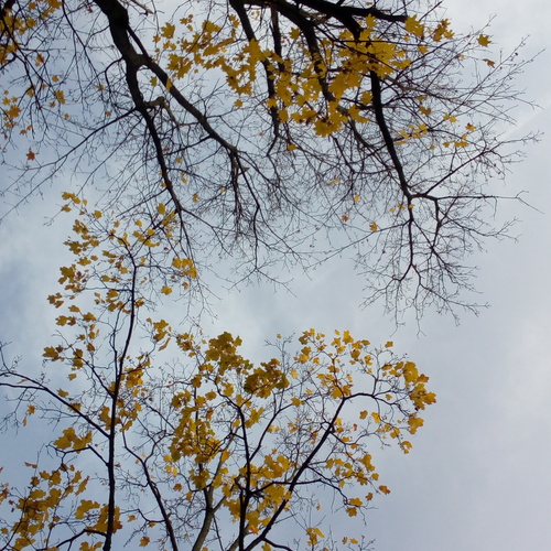 Photo #14111273