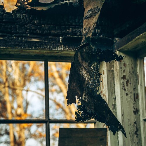 Photo #14111285