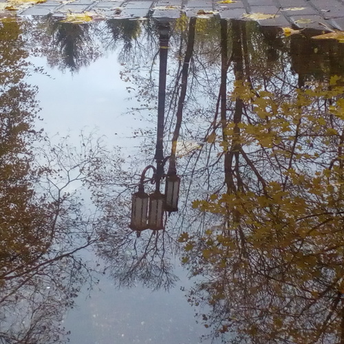 Photo #14111289