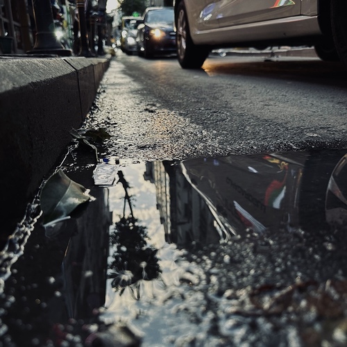 Photo #14111451
