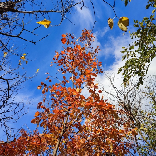 Photo #14111453