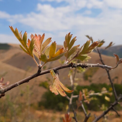 Photo #14111454